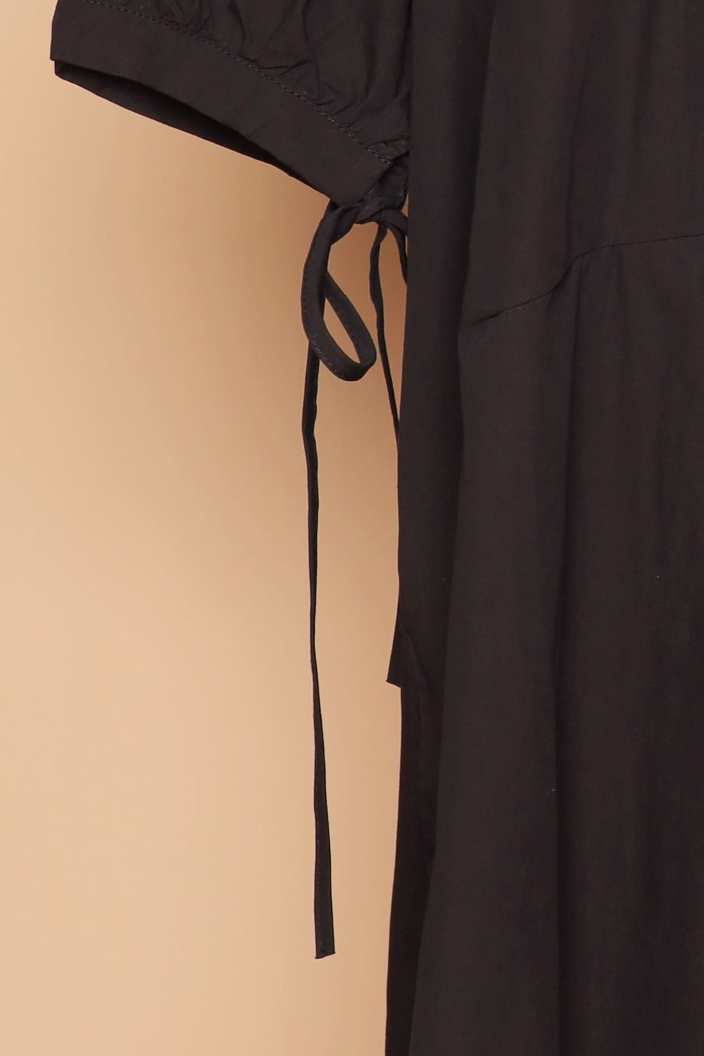 PO - Delphine Dress in Black